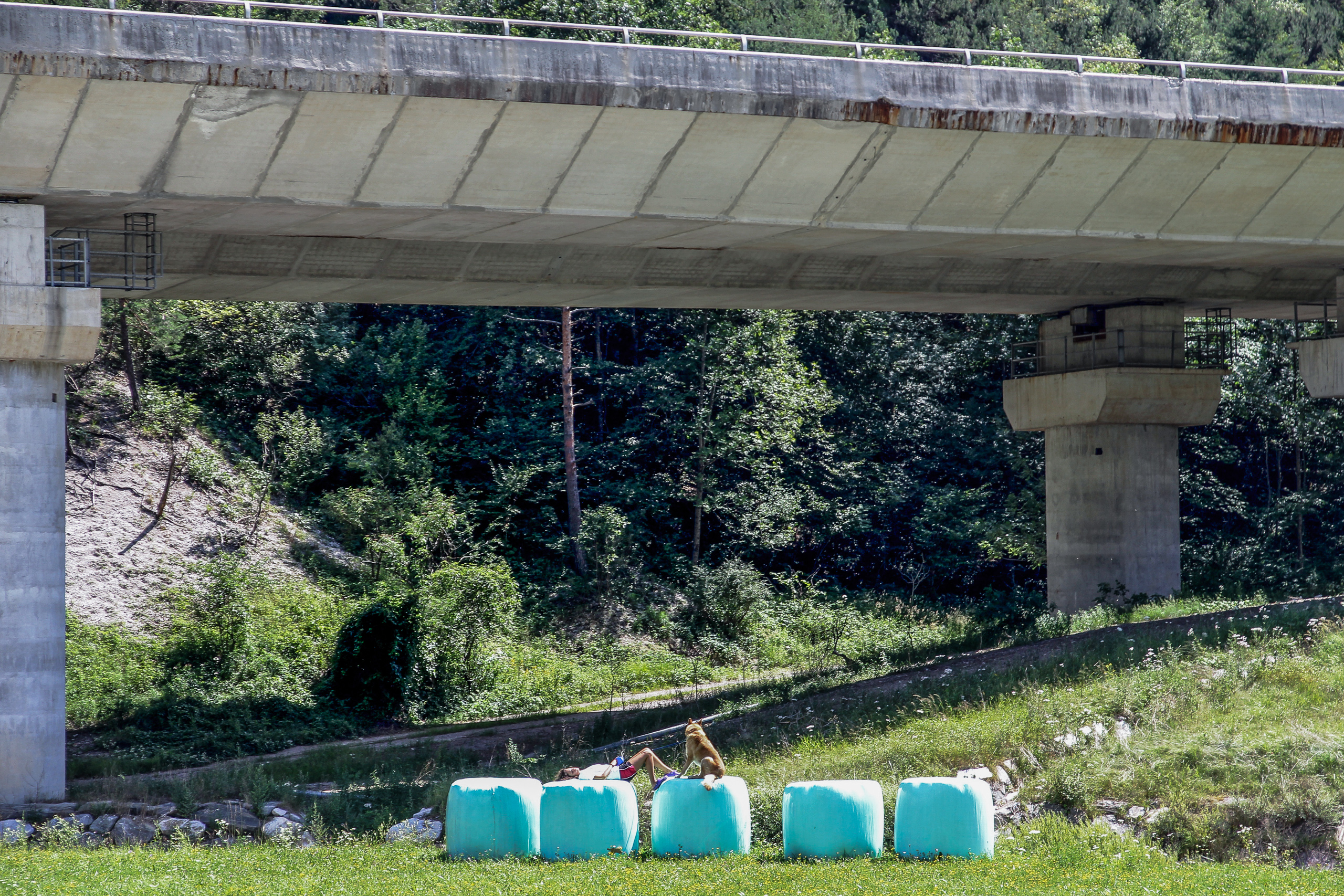 Unter dem Autobahnviadukt: Sonnenbaden auf Betonblöcken im Schotterbett